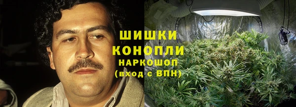 молекула духа Алзамай
