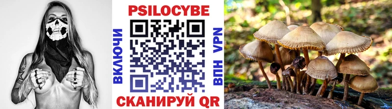 Галлюциногенные грибы GOLDEN TEACHER  Купить  Сурск 